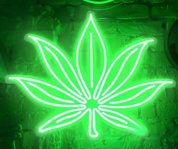 Vivid Bright Green Detailed High Plant LED Night Light Room Wall Decoration