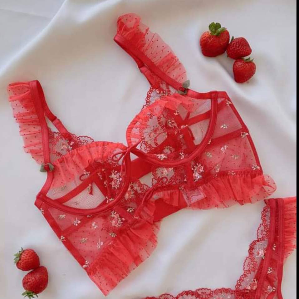 For Love & Lemons Red Rose Embroidered Bustier Size: XXS NWT