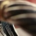 David Yurman Amethyst cable ring sterling and 14kt