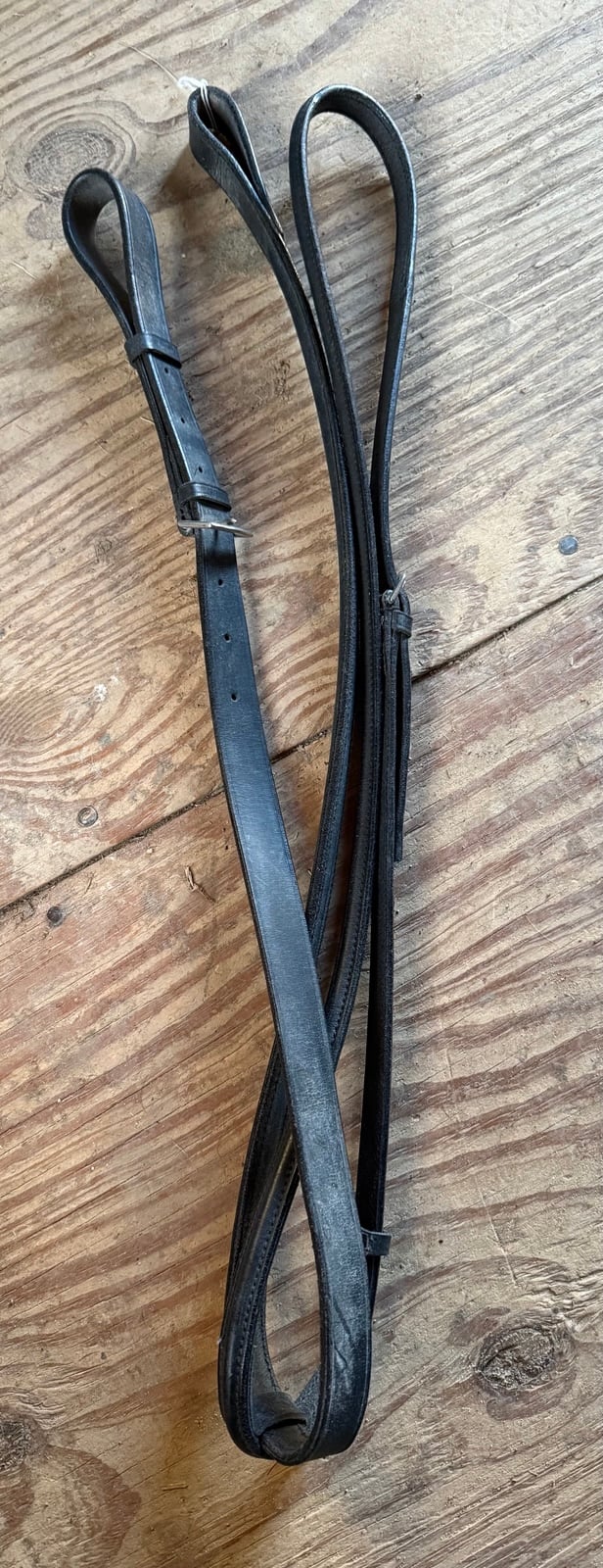 Black standing martingale
