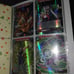 Dragon ball TCG
