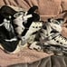 Skates