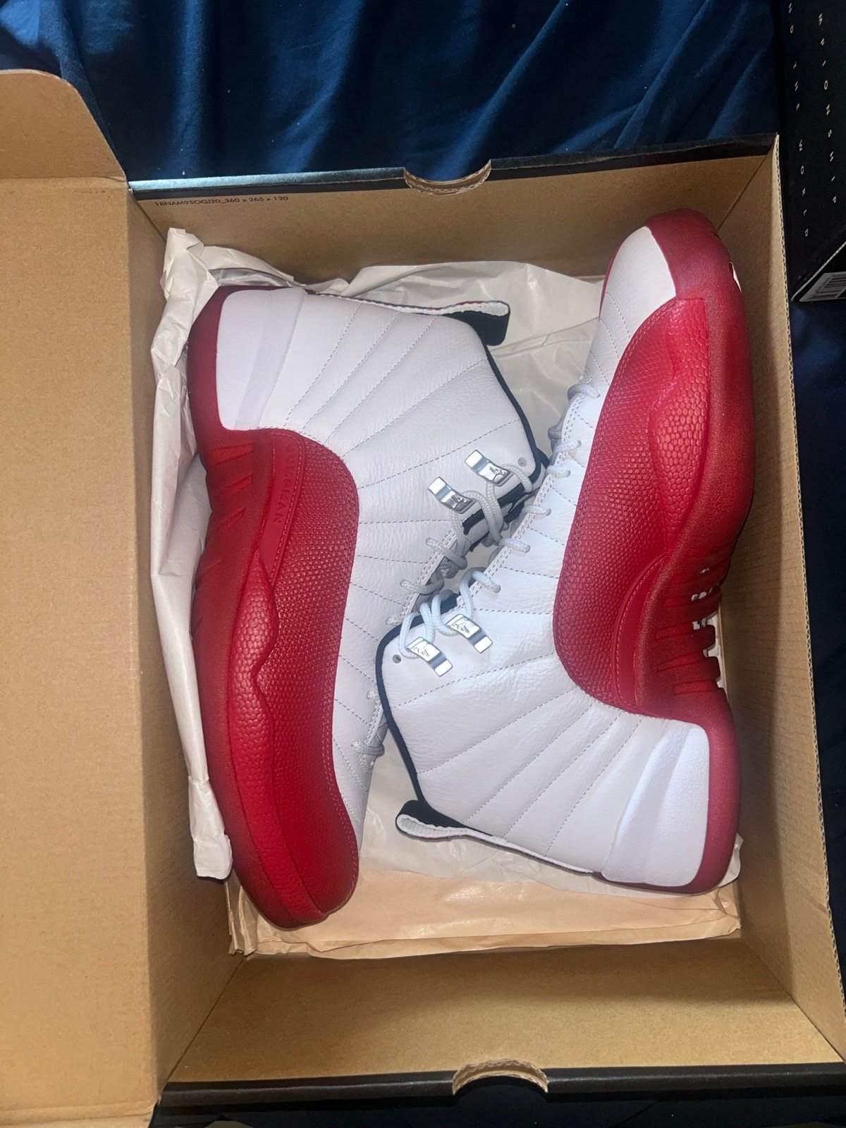 Jordan 12 cherry