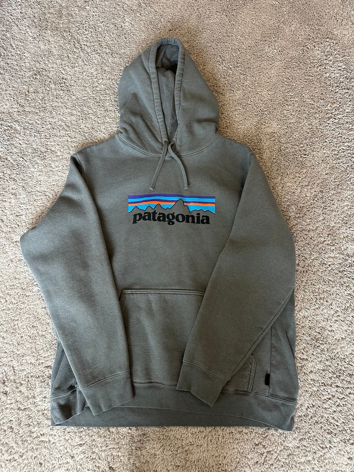 Men’s Patagonia Hoodie
