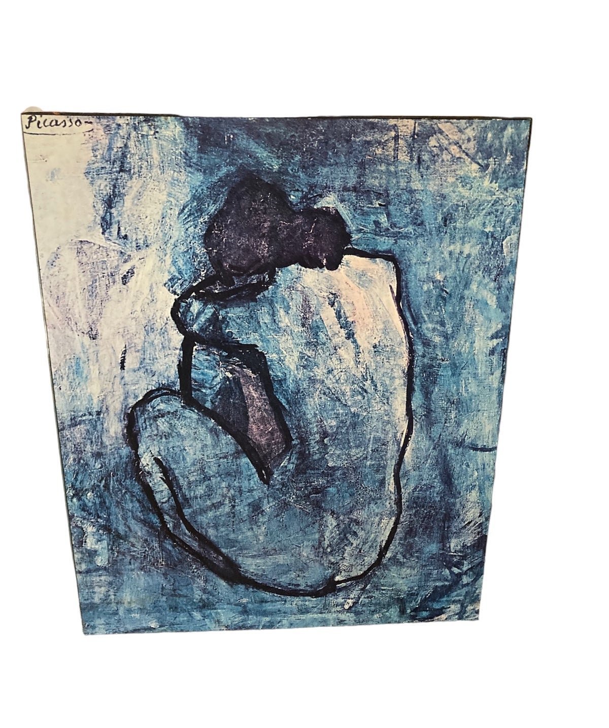 Blue Nude Picasso
