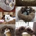Dog sofa beds for pets Tiny Dogs Cozy Accessories Huge Mat Pets Kennel Cleaning