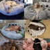 Dog sofa beds for pets Tiny Dogs Cozy Accessories Huge Mat Pets Kennel Cleaning