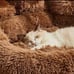 Dog sofa beds for pets Tiny Dogs Cozy Accessories Huge Mat Pets Kennel Cleaning