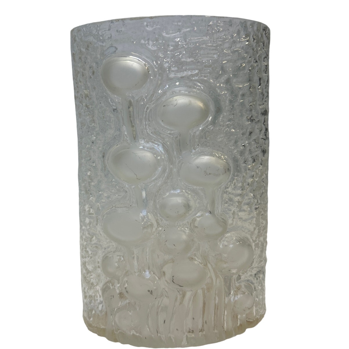 Vintage Wild Mushroom Floral Spores Shaped Glass Oval 7 Tall Flower Vase