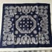 Deadstock Vintage Bandana Paisley Elephant Upper Nose