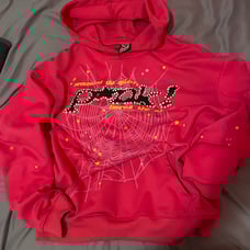 Spider worldwide P*NK hoodie