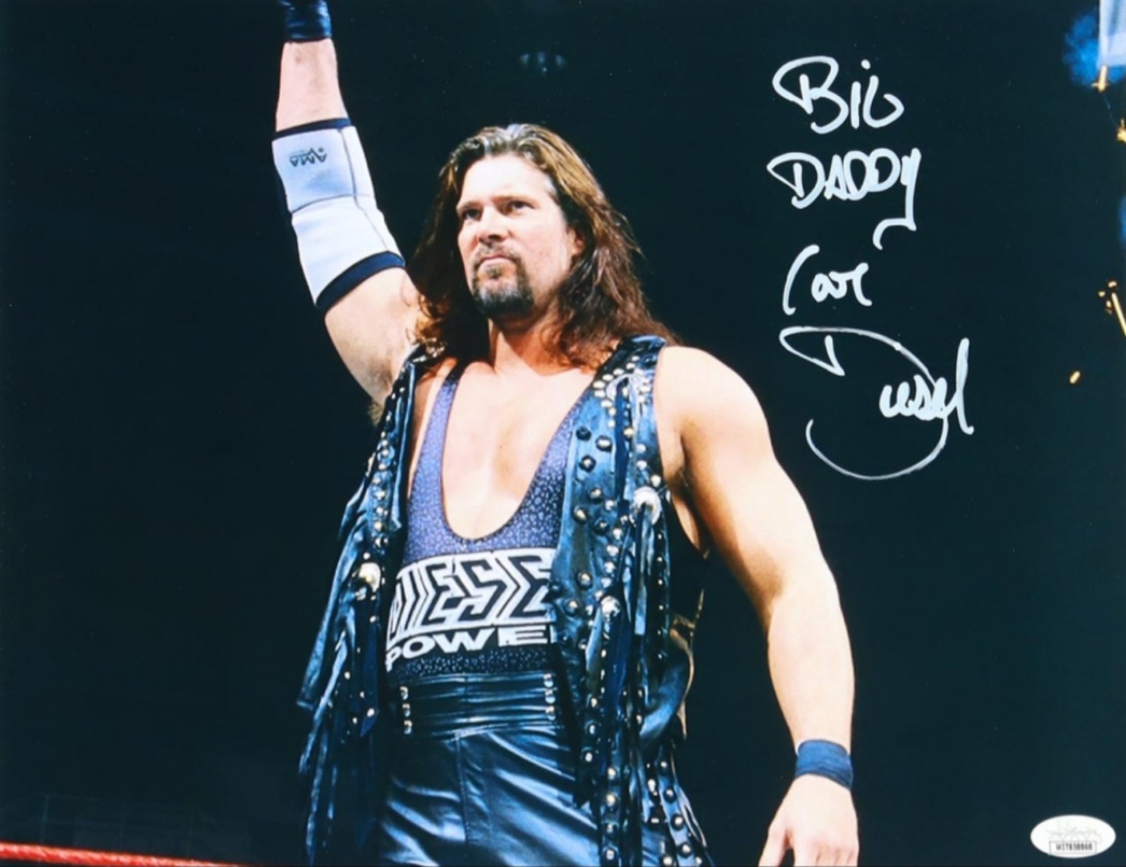 WWF Big Daddy Cool Diesel hand signed 11x14 JSA Diesel Power Kevin Nash WWE