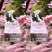 Pulp Riot Lilac Chill High Speed Toner 3 oz 2 Units