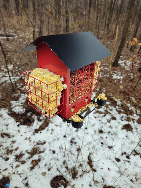 Bird Feeders for Outdoors Hanging, Metal Wild Bird Feeder with Double Suet Cages