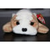 RARE TY RETIRED BEANIE BABY WRINKLES 1996 - Mint Condition With Tags