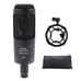 Audio-Technica AT2050 Multi-Pattern Condenser Microphone