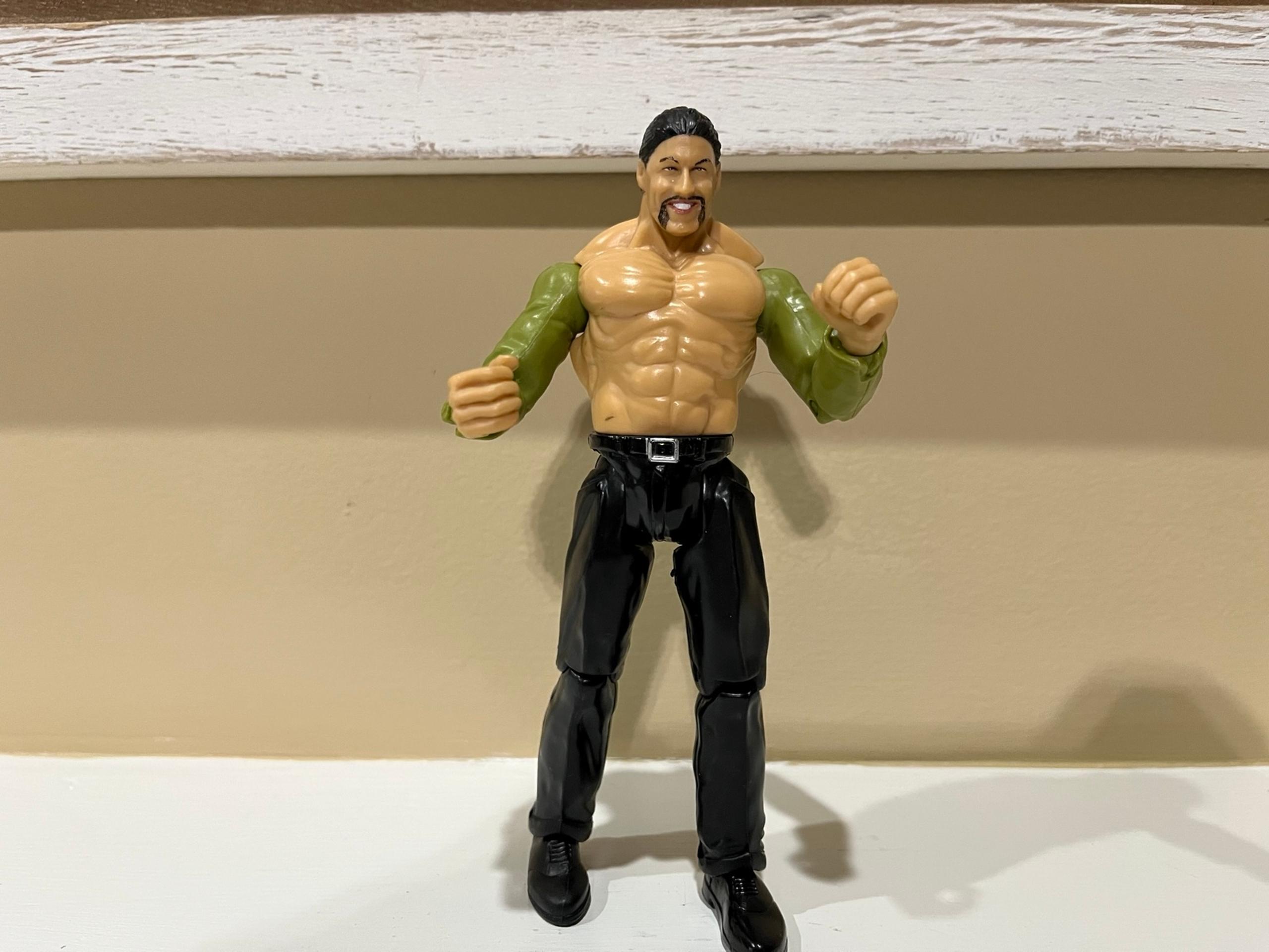 WWE Al Snow Wrestling Action Figure Toy (Missing Ponytail)