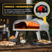 Pizza Oven Outdoor 12 Wood Fired Pizza Ovens Pellet Pizza Stove for Outside, Po