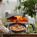 Pizza Oven Outdoor 12 Wood Fired Pizza Ovens Pellet Pizza Stove for Outside, Po