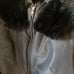 Foxey vest
