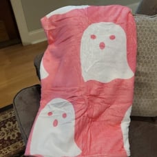 Pink Ghost Throw Blanket-NWT