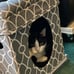 Geometric Grey, Curious Cube Cat Condo for Cat