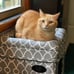Geometric Grey, Curious Cube Cat Condo for Cat