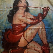 Bettie Page pinup Tapestry 40 x 30 good condition
