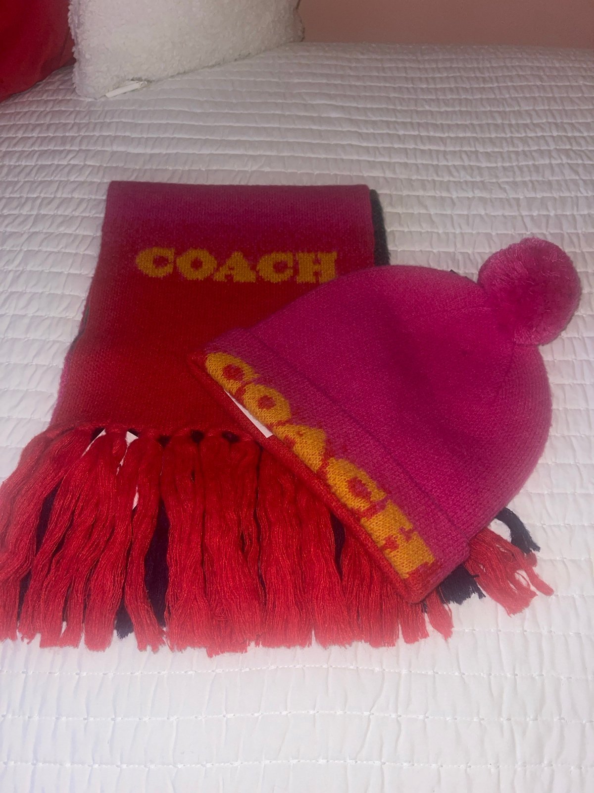 NWT Coach Color Blocked Scarf with Pom Beanie