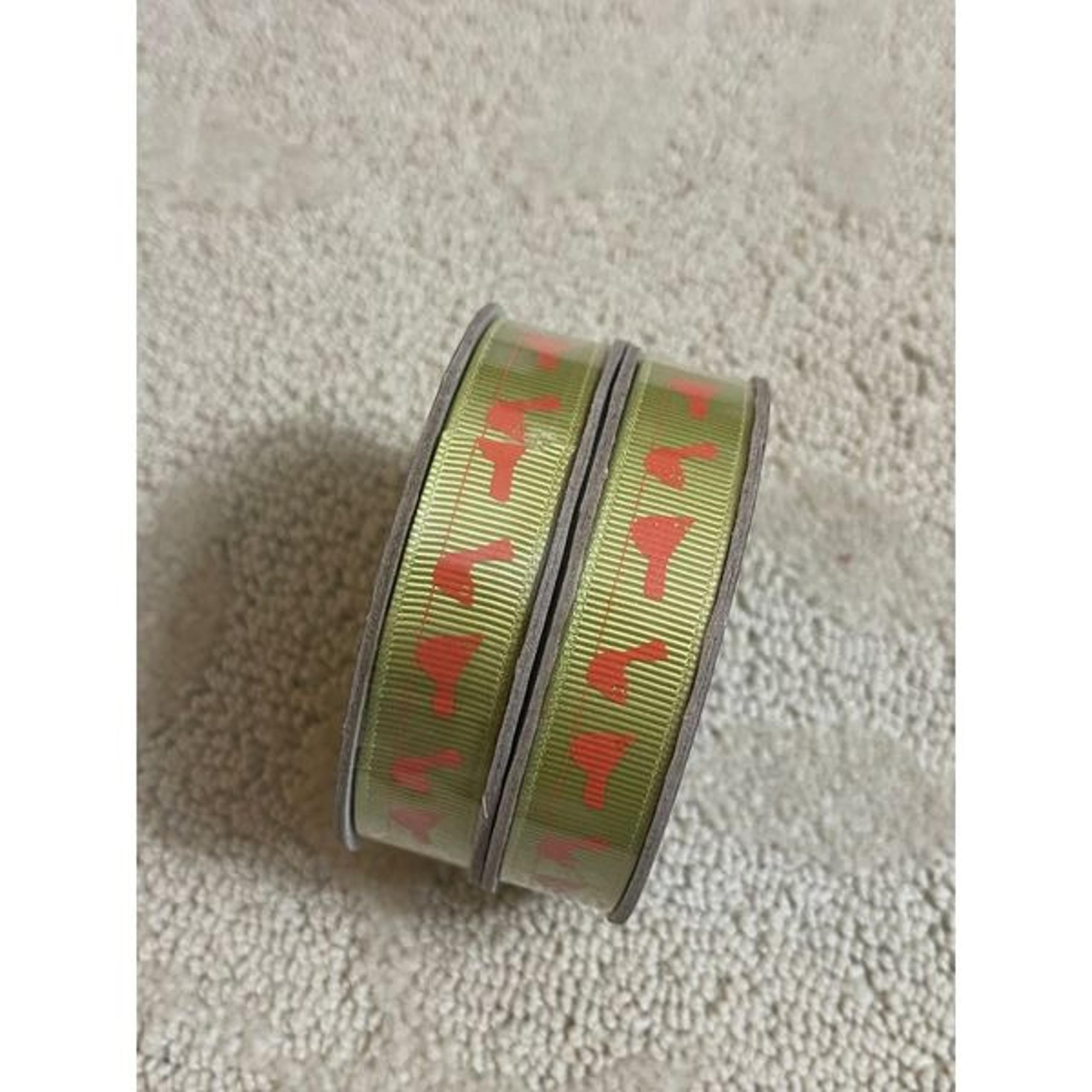 Colorbok Printed Ribbon Green and Orange