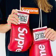 Supreme boxing gloves