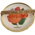 Vintage 1979 Sundowner Collectors Plate All-America Rose Series 10.5 3686/9800