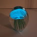 Dynasty Gallery Handcrafted Jellyfish Glass Paperweight Display Glow In the Dark