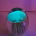 Dynasty Gallery Handcrafted Jellyfish Glass Paperweight Display Glow In the Dark