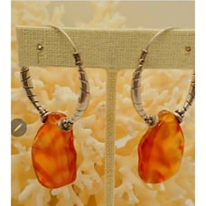 Carnelian Nat. FF Slices w/ Hill Tribe Comp. Artisan Hoops New
