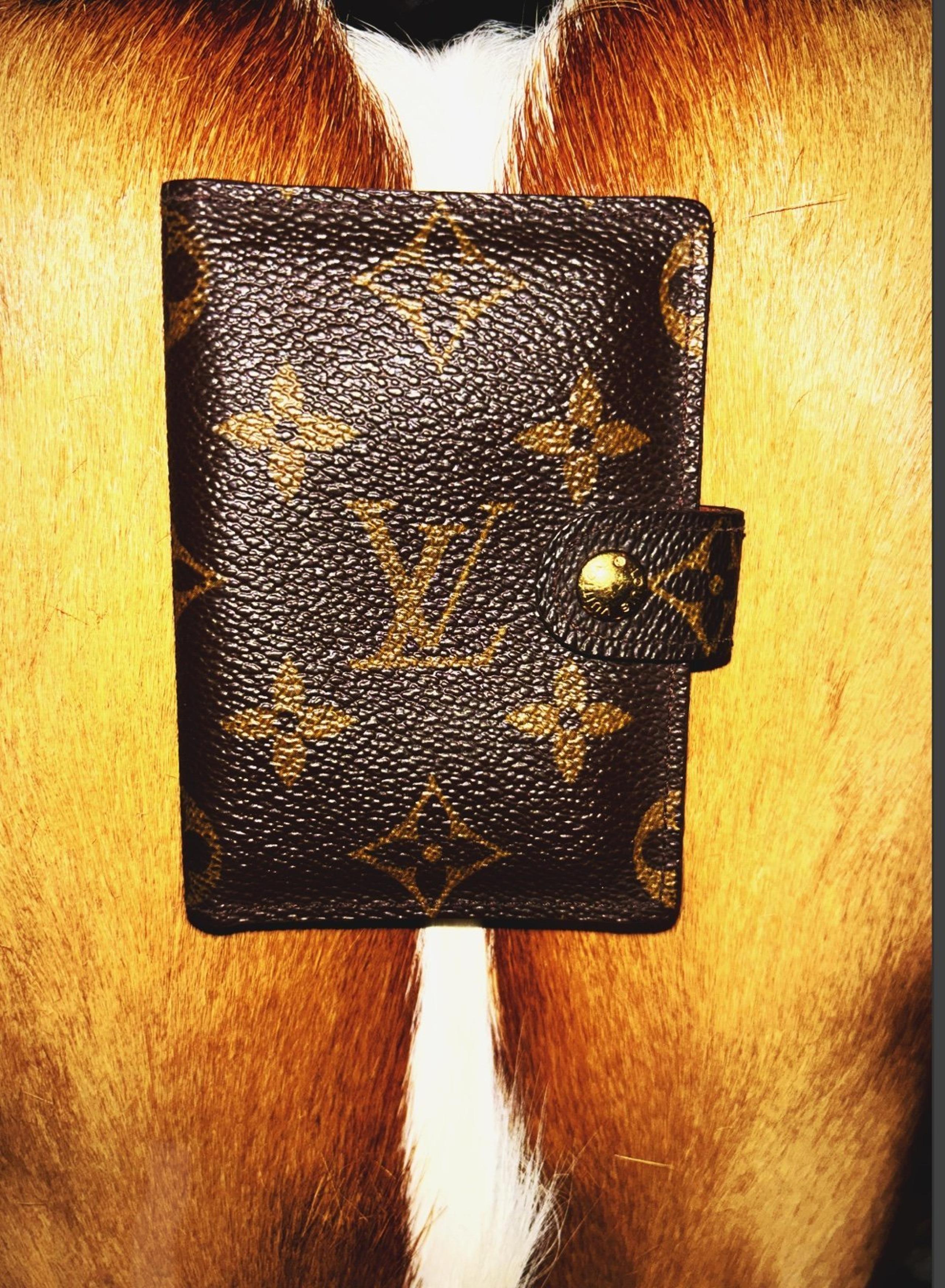 ♦️Louis Vuitton Unisex Card Holder