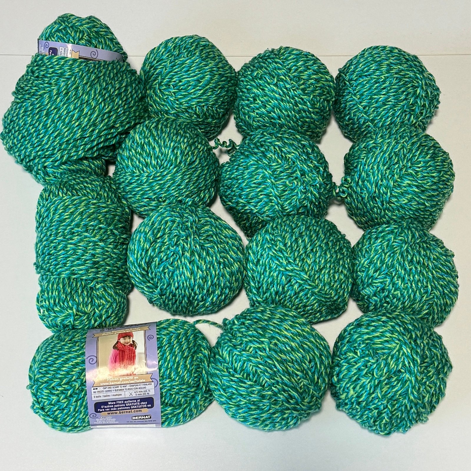 14-15 skeins of Bernat Softee Chunky Tropic Twists yarn