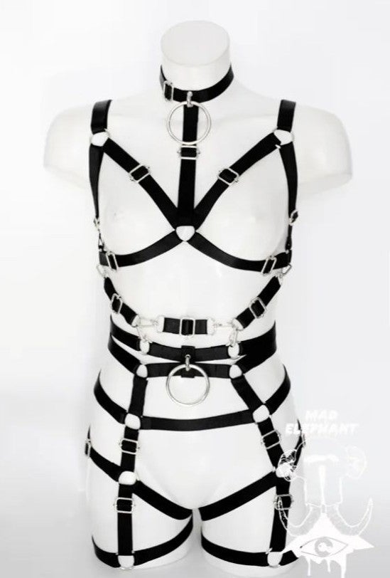NWOT Lucy Harness Lingerie 2pc