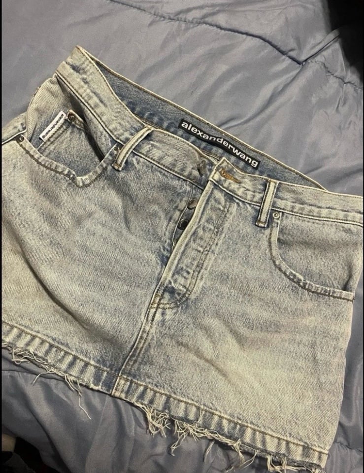 Alexander wang skirt