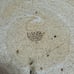 Dansk Serving Platter Chop Plate 13 Server Tan Speckled Japan Stoneware
