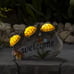 Welcome Turtles on a Rock Solar Powered LED Outdoor Decor Garden Light