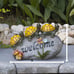Welcome Turtles on a Rock Solar Powered LED Outdoor Decor Garden Light