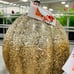 Gold glass pumpkin ! !