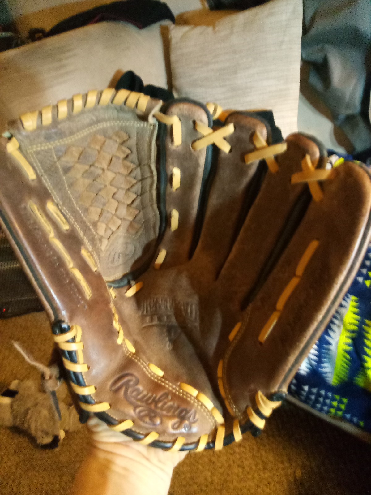 Baseball Glove