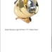 Gold plated bullet light