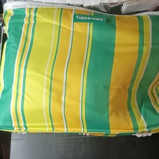 Tupperware Insulated Picnic Cooler Bag Large