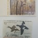Set of migratory birds hunting stamps. (Duck stamps)