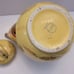 Hall Teapot Yellow Gold Trim 0799GL 6 Cup