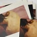 Harry Styles Limited Edition CD Book Set