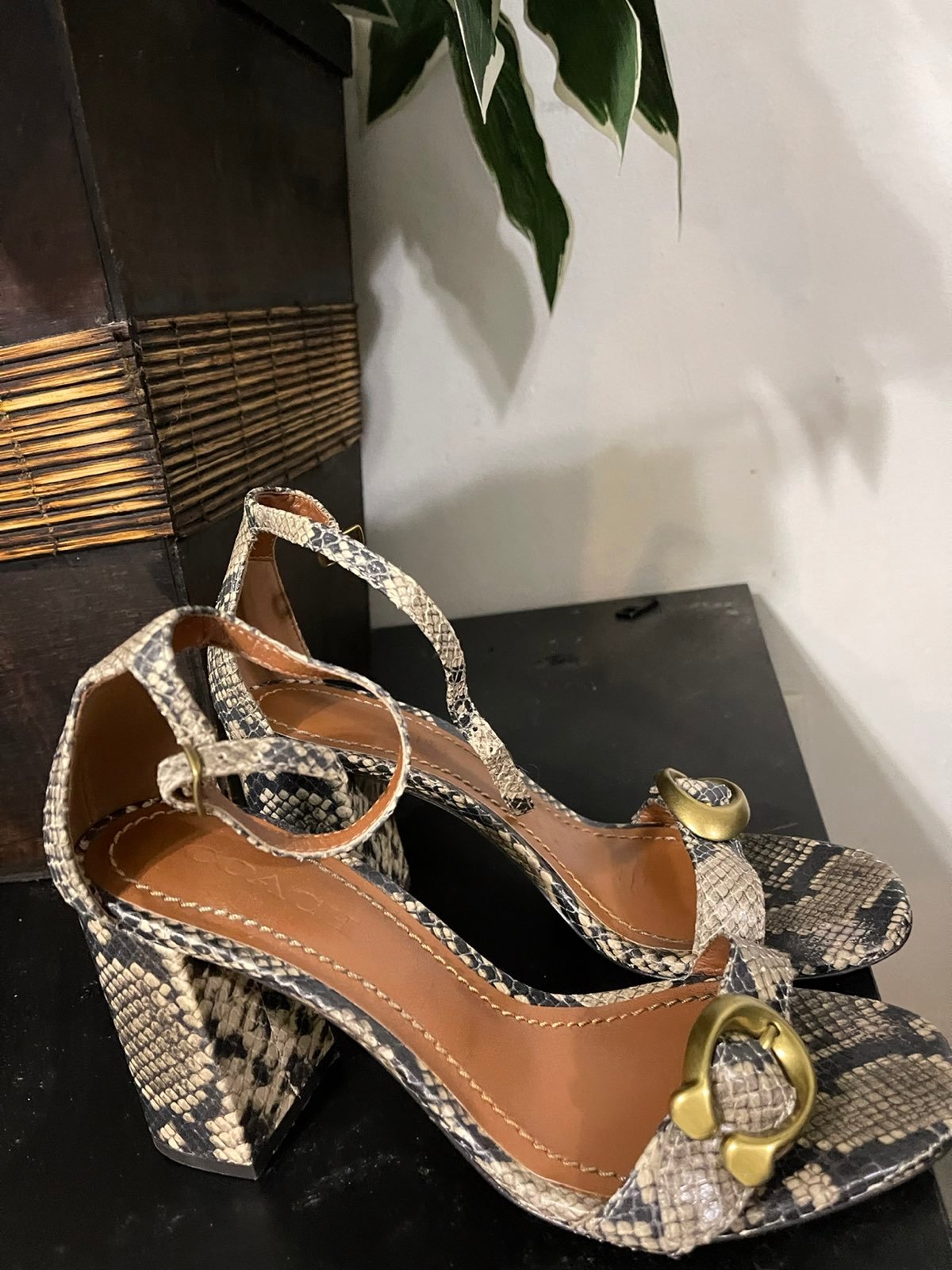 ★Coach★ Holy Block Hill with Horse and Carriage CAS92 W8F coach-Chalk-Holly-Block-Heels.jpeg